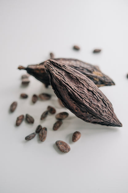 sw02  Cacao